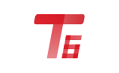 T6